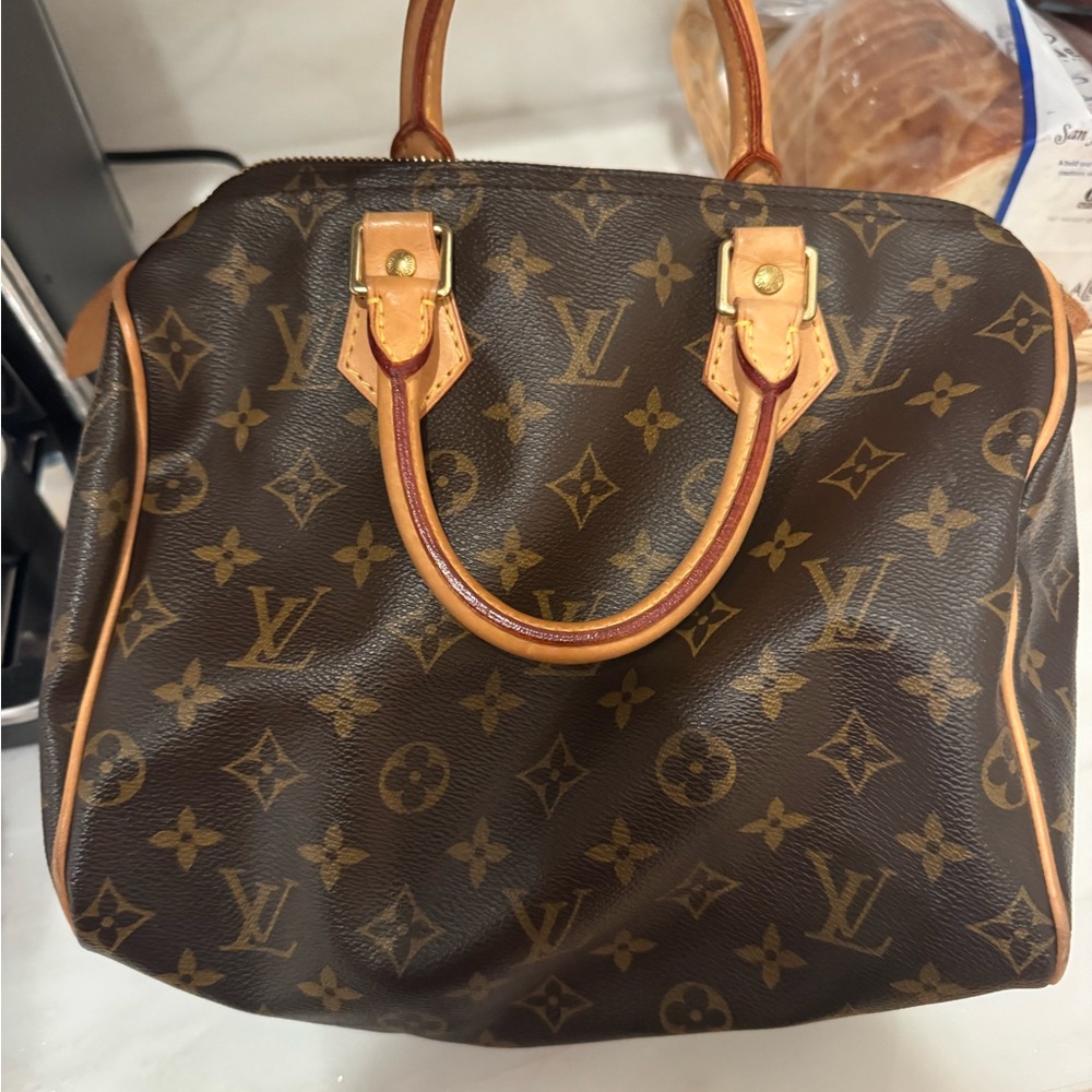 Louis Vuitton Brown Monogram Handbag